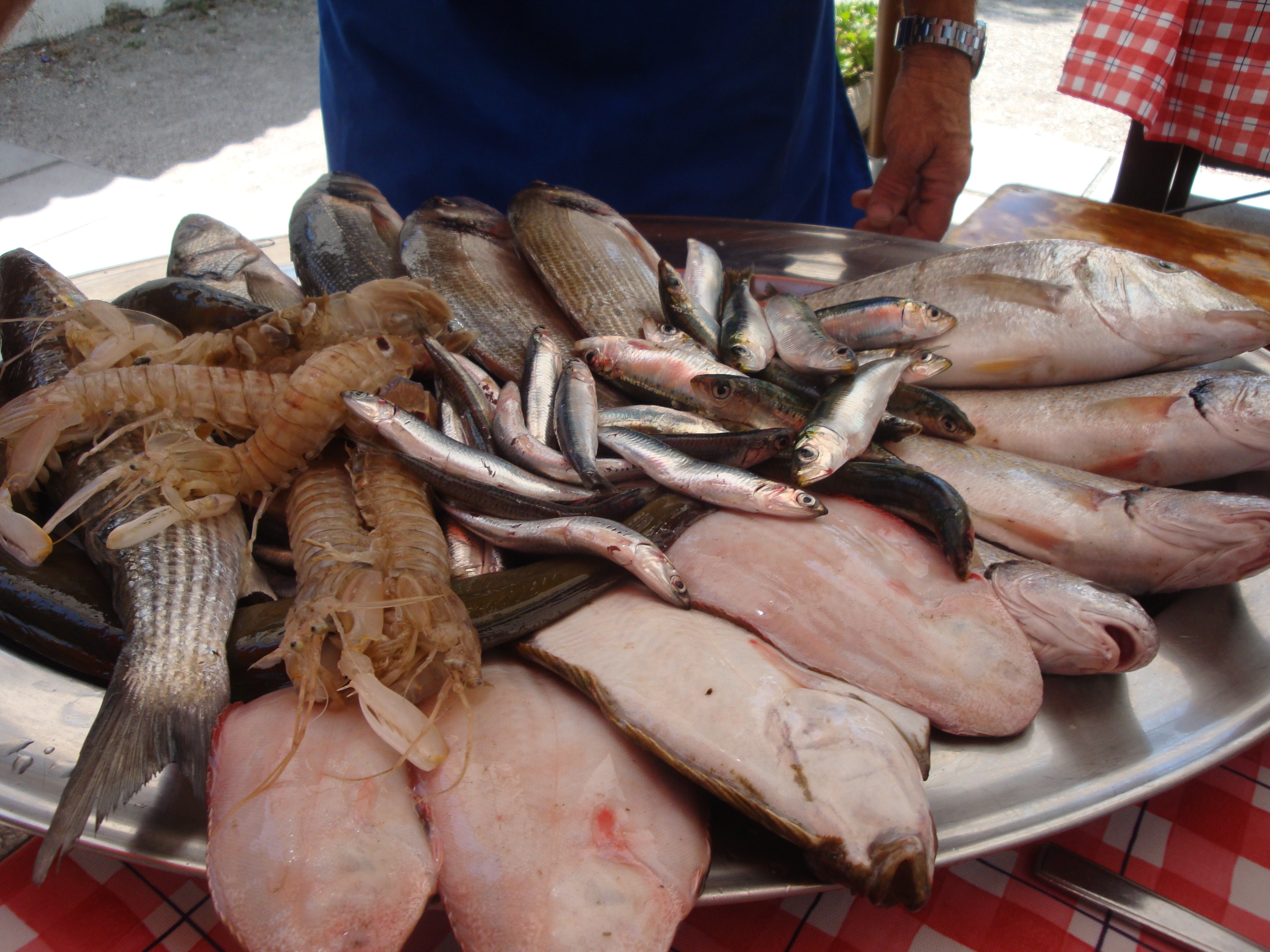 SM_Grado_LaguneundAnfora (14)