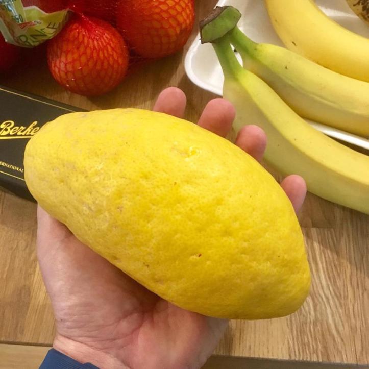 30728470_10213861210036399_7945283193693798400_n