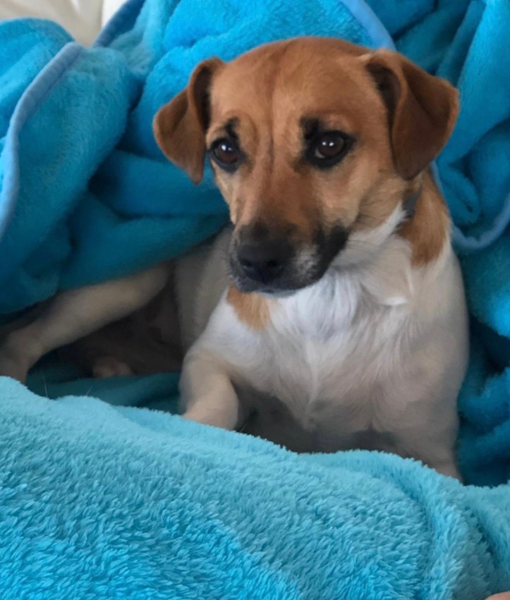 306C8DB3-7B5A-4BFB-8229-B632B8FF7469