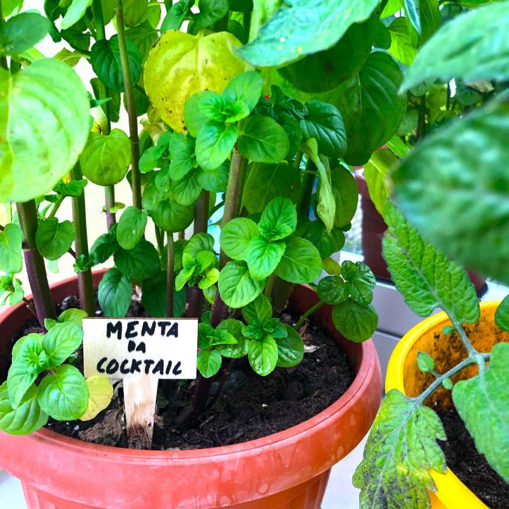 60663854_422199371892100_2621255202589638656_n