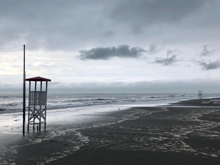 70612630_2439400809462357_4698411668810498048_n