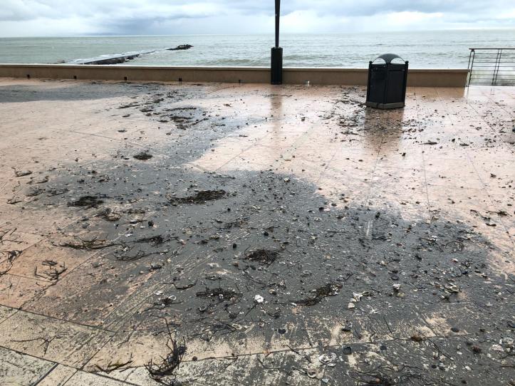 75418253_2529789560440027_8277843714013921280_n