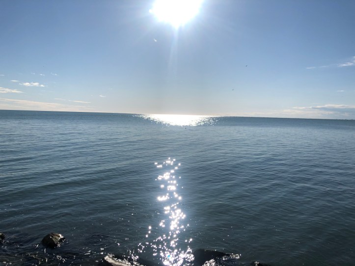 CB4185F1-CF9D-4B9D-8602-3C18B5975EF2