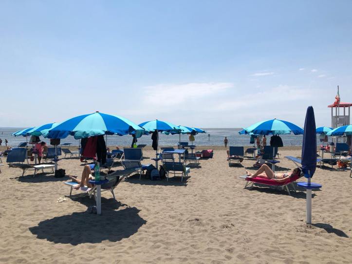 102744334_556944441916719_5225767308399476736_n