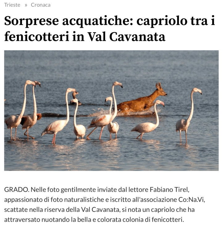 Bildschirmfoto 2020-07-23 um 18.18.17.png